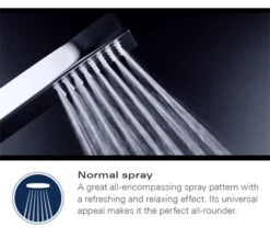 Grohe Euphoria Cube Stick Wall Holder Set 1 Chrome Spray Pattern 15 Grohe Euphoria Cube Stick Wall Holder Set 1 Chrome Spray Pattern -Shower Room M 2015 1 9 15 38 2 878